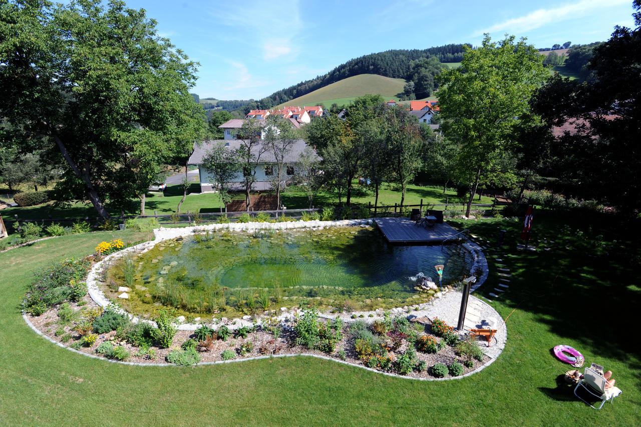 Hotel Geier Bad Schönau Zewnętrze zdjęcie
