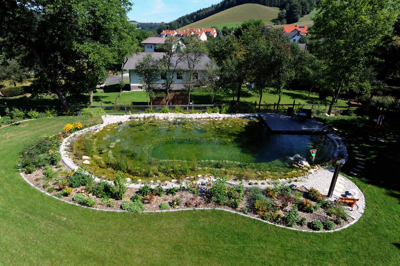 Hotel Geier Bad Schönau Zewnętrze zdjęcie
